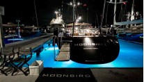 Moonbird -  At Night
